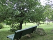 Green Bench on Hill