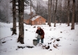 Sugaring