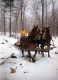 Sugaring with Horses