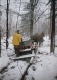 Sugaring with Horses