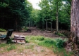 Sugaring Trail