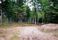 Sugaring Trail