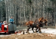 Sleigh Ride