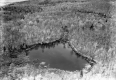 Abby Pond