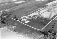 The Loomis Orchard