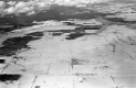 Snowy Fields