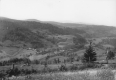Dog River Valley