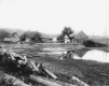 Sawmill