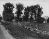 Wire Fence and Houses