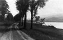 Dirt Road by Lake