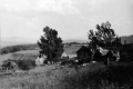 Houses on Hills