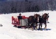 Horse-drawn Sleigh