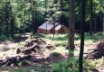 Sugarhouse in Summer
