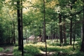 Sugarhouse in Summer