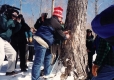 Governor's Tree Tapping
