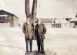 Cushman Family Members on Court Street