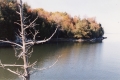 Hurlbut Property