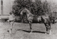 E.S. Stowell Farm