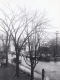 Hurricane Damage to Middlebury 
