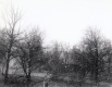Hurricane Damage to Middlebury 