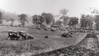 Cars in Field