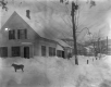 House with Snow and Dog