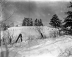 Snowy Field