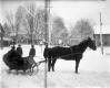 Horse-Drawn Sled
