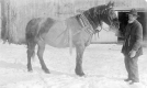 Albert Bickford