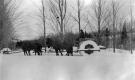 Snow Roller