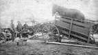 Horses in a Cart