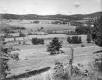 Garfield Darling's Farm