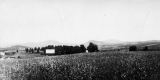 Southern View from Peacham