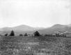 Fields in Peacham