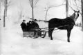 Horse Drawn Sleigh