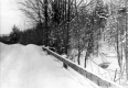 Willow Brook in Winter