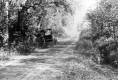 Buggy next to Willow Creek