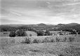 Fields and Fences