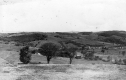 East Peacham