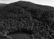 Hancock Pond