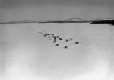 Fishing Shanties on Lake Champlain