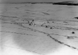Fishing Shanties on Lake Champlain