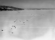 Fishing Shanties on Lake Champlain