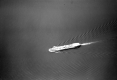 Boat on Lake Champlain