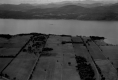 Fields next to Lake Champlain