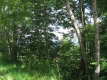 Trapp Family Property