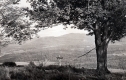 Field by Trapp Family Lodge