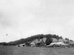 Houses in Field