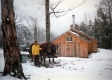 Horse-Drawn Sled by Sugarhouse