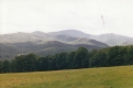 Green Fields